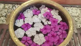 Samudra Resort || Perfect Weekend Gateway || Things to Do || Puri, Odisha