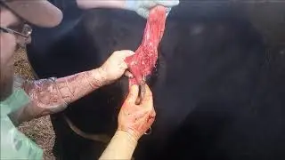 Смещение
