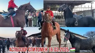 Аспбозор Спитомен🇹🇯 16 марта 2025 г.