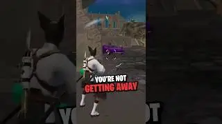 There's no escaping this Cat 