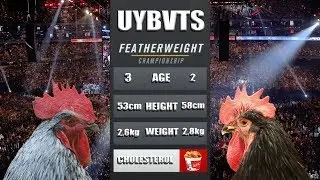 Cockfighting in the Philippines | Documentary | Sabong | Vossen Media | Doug Vossen | 2018