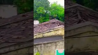barish ke Mausam main butta khane ka maja❤️❤️