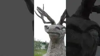 😍 КӨКШЕТАУ ТАБИҒАТЫ🤩