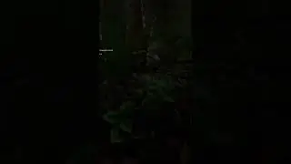 think I heard a Raptor... 