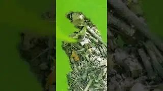20190701 172554