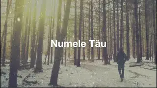 IPR - Numele Tău