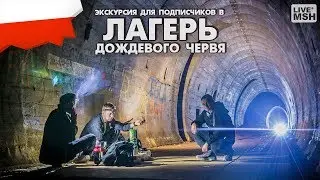 ЕП17 #27 Как я подписчиков в ЛДЧ водил.