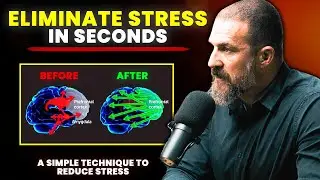 Neuroscientist - You Will NEVER Feel Stressed Again | Erase Stress in One Breath | Andrew Huberman