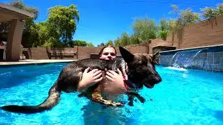 GoPro Hero 8 Black Underwater