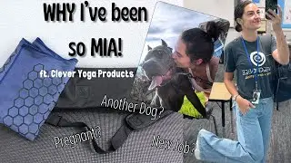 Life Updates Vlog- Family, Career, Dog, Yoga