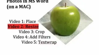MS Word - 2 - Resize a Photo Image