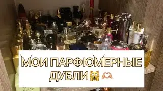 Perfume Duplicates/Hamster Stocks🐹🫶🏼