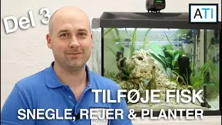 Tilføje fisk, snegle, rejer og planter til Tetra 80 liters akvarie (Tetra 80L del 3)