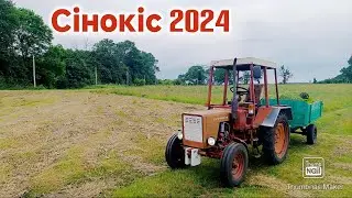 Укіс трави 2024 Трактор т-25 прицеп косарка #трактор #т25