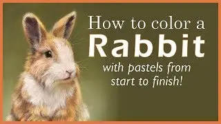 How to Color a Rabbit | Pastel Drawing Time-Lapse