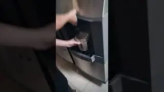 Getting Ice
