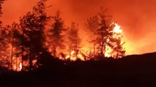 Adana-Kozan yangını evler küle döndü (23.08.2020)