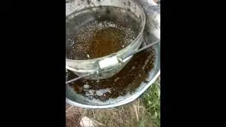 Как качать мёд, как качают мёд, центрифуга.