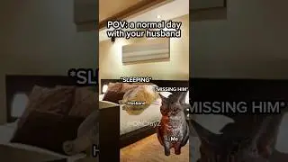 CAT MEMES 🐱 PARENTS RELATIONSHIP 