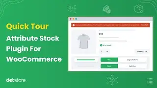 Mastering the Attribute Stock WooCommerce Plugin: A Step-by-Step Setup Guide