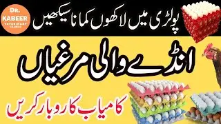 How to Start Laying Hens Poultry Farm in Pakistan 2021 | Business Ideas in Pakistan 2021