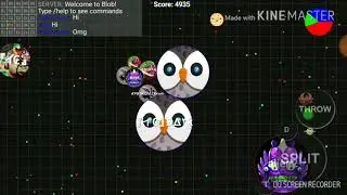blob io team pro