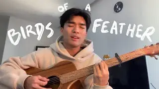 birds of a feather - billie eilish (cover)