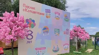 Пикник С Котодетками 2023