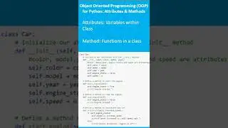 Attribute and Method in Object Oriented Programming | Python