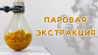 ORANGE: EXTRACTION AND CHEMICAL ANALYSIS!
