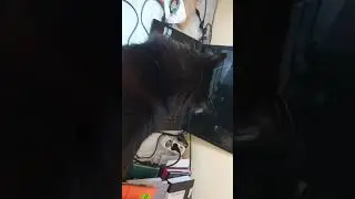 Распаковка книги 