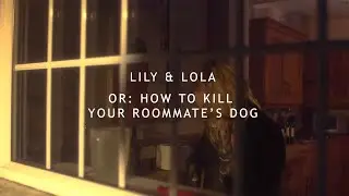 LILY & LOLA - Short Film