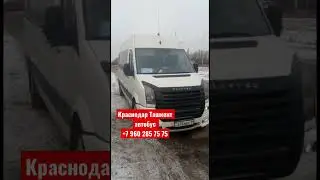 Краснодар Ташкент автобус