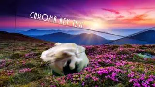 Chroma Key test using power director 15