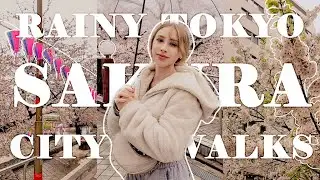 BAD WEATHER Cant Stop THIS Japan Adventure 🌸 Japan Life Vlog  a day in the life in tokyo itshoneybii