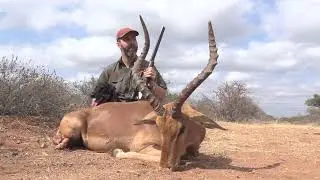 Impala  with a 470 Dubbel WN Hunting Safaris