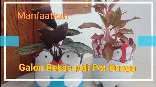 Sulap Limbah Plastik Jadi Pot Tanaman|| plastic waste