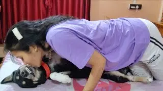 Started Cute Fun with My Dog Shinchan at Home 🐶 | Cute Moments & Funny Reactions 😄