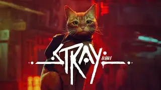 Знакомимся с игрой: Stray