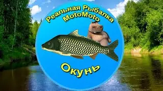 Как поймать Окуня на Лесной реке [NEW] | Реальная Рыбалка.