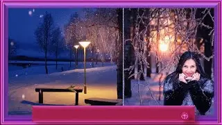 ТОРАТАУ ! Рябина красная .  2015 г  -  2016 г