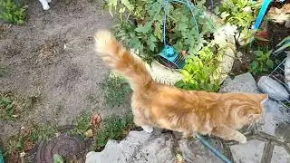 О нас, о нашем 