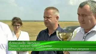 Первые 100 тысяч тонн зерна еще в конце июля намолотил Мелекесский район