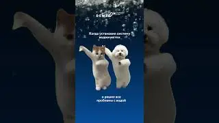 Dewton | Решим все ваши проблемы с водой  #shorts #водоочистка