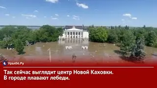 Так сейчас выглядит центр Новой Каховки. В городе плавают лебеди.