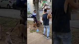 Their Reactions! 🤯 