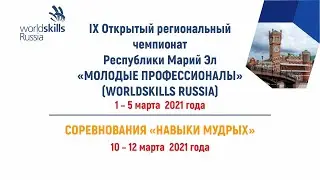 IX Открытый региональный чемпионат "Молодые профессионалы" (WorldSkills Russia) Республики Марий Эл
