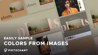 How to Sample Colors From Images | Piktochart Tutorial