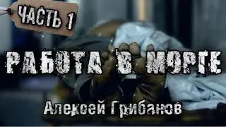 ПЕРЕЗАЛИВ. История на ночь. РАБОТА В МОРГЕ  1 часть ( +2 глава) Алексей Грибанов