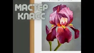Ирис.
